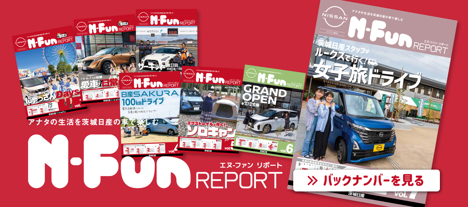 N-Fun REPORT